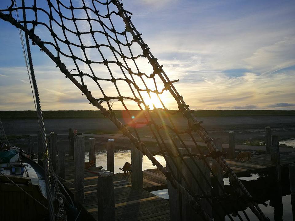 Living the good life aan boord van de #Ouderzorg - #RederijVooruit #zeilen #zeiltocht #segeln #waddenzee #ijsselmeer #friesland
