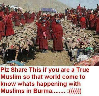 AlexAlex440's tweet photo. Please share and be their voice #StopMassacreInArakan #forgottentragedyofburma

#UnlikelyRoyalBabyNames
#TENNvsGT
#LaborDay #RHOC https://t.co/7MX8X095fl