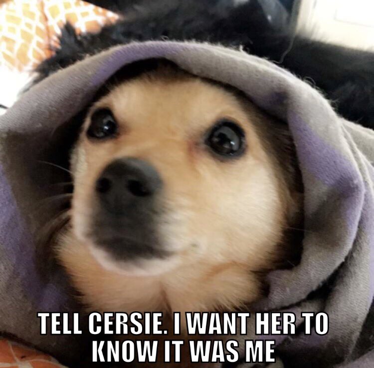 SHOREJAN_'s tweet photo. Never forget. #OlennaTyrell #gameofthrones #GameOfThronesLeak #meme #funny #Dog #cersei #danaerys #JonSnow #ThronesTheory https://t.co/ccHQM25r7H