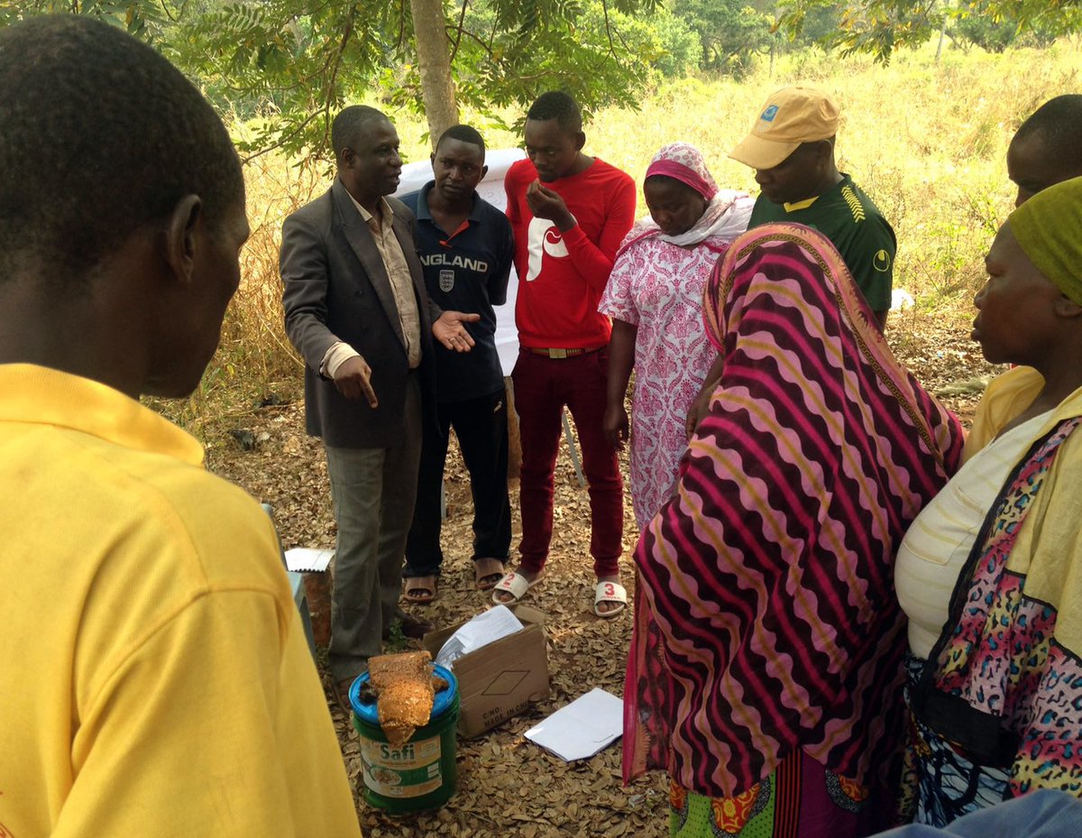 CVM_APAtanzania's tweet photo. #Training #beekeeping for 23 village people #Bagamoyo District, to trasform these lessons into future #job #work #trade @CVM_AN @FOCSIV @ilo https://t.co/MP6nonIk6X