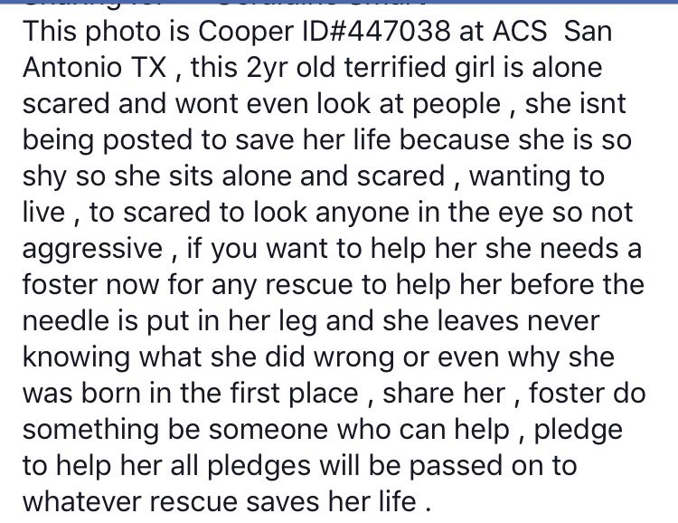 Susie Davis tweet media