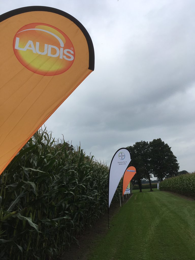 SUwland's tweet image. Demo onkruidbestrijding mais @MOVO-zaden. Ook bij de #oogst2017 een schoon perceel! #Laudis #Capreno #MonsoonActive @BayerCropNL