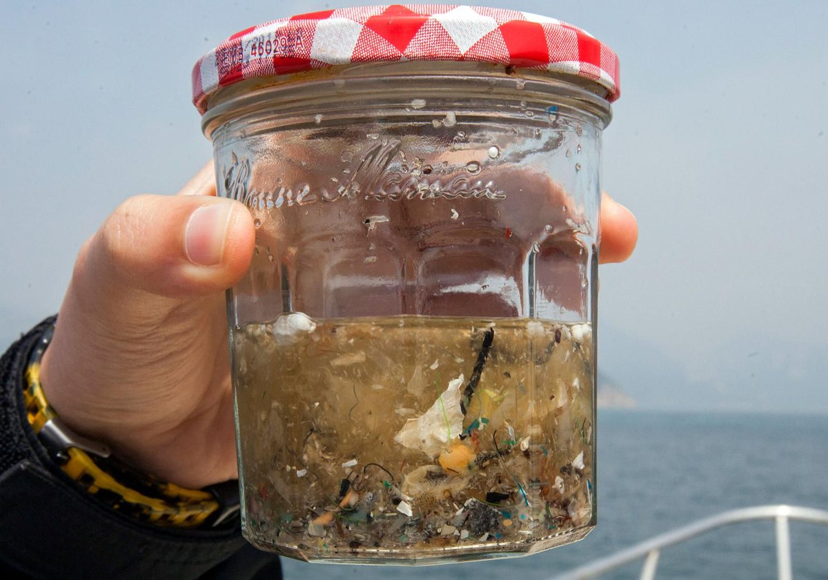 oceangen_'s tweet photo. From @NatGeo: marine life ingests a ton of #plasticpollution and why that's a bad thing: https://t.co/ec3WtYj47q https://t.co/j6HQKvyEYa