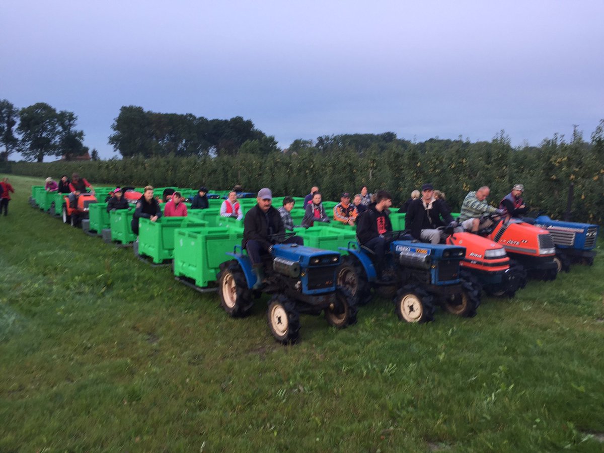 LarsKaim's tweet image. Klaar voor de start? En gas erop. #perenplukken @ABZuidHolland