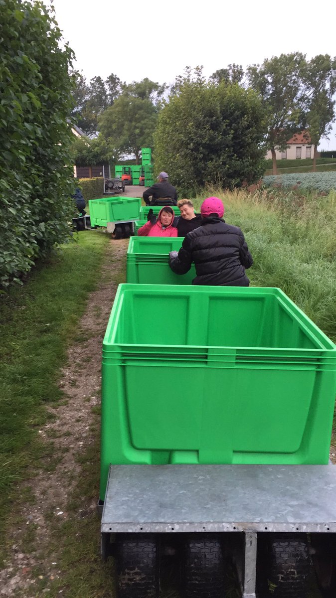LarsKaim's tweet image. Klaar voor de start? En gas erop. #perenplukken @ABZuidHolland