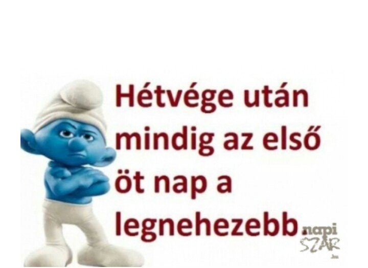 zeuszvagyok's tweet photo. #kedda https://t.co/s33SSMxfsq