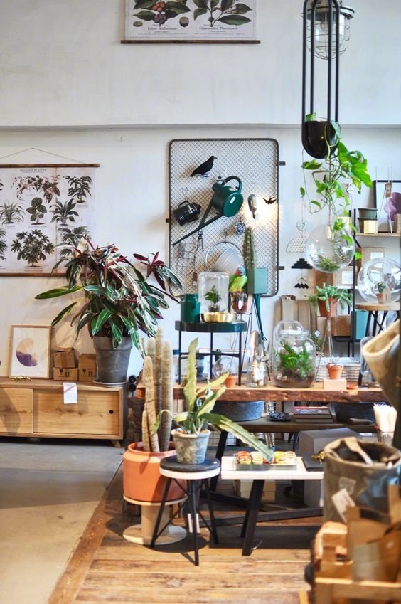 LovDock's tweet photo. Full of green #plants
Find #planters here>>https://t.co/TsGZwaTtQu
#lovdock #design #livingroom #apartment #table #green #vitality #life https://t.co/fsOxNGeeEa