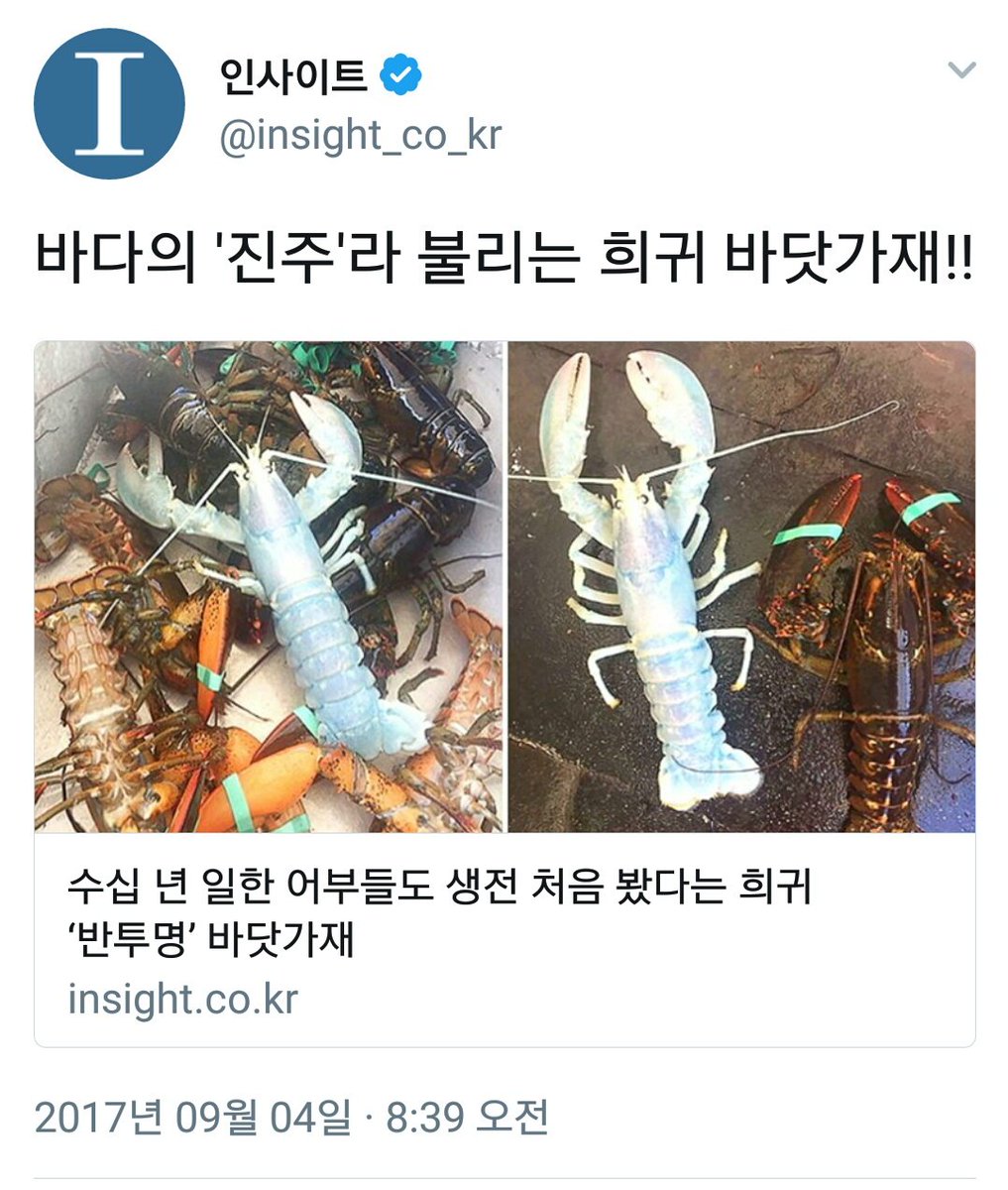 hutsori_handa's tweet photo. ....? 진주는 원래 바다에 있잖아 https://t.co/P8903zL528