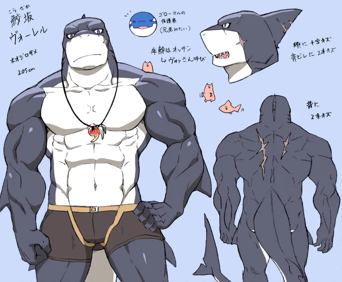 フルカラーヴォーレル 