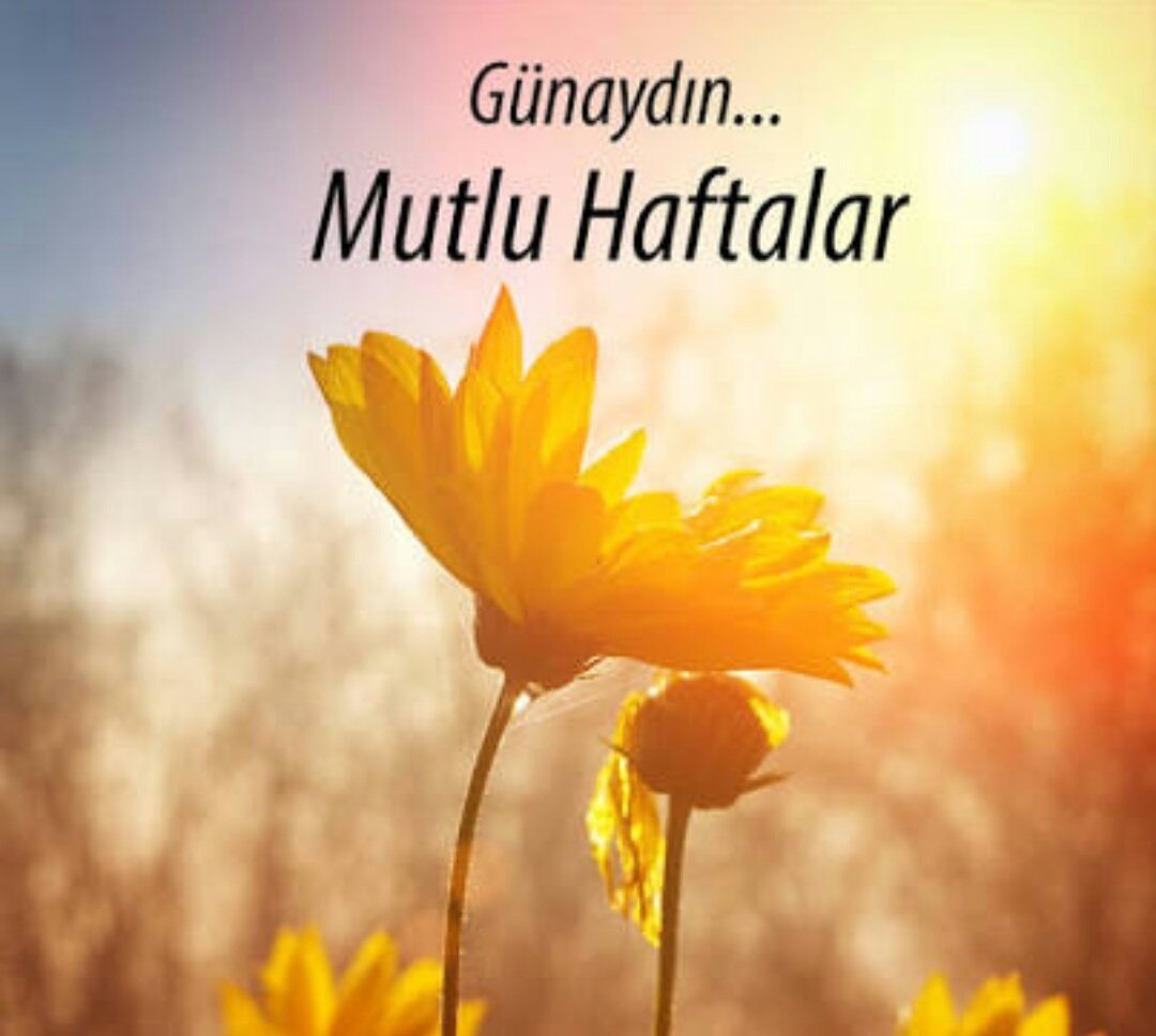 esperlitt's tweet photo. #Günaydın! Sağlıkla bol kazançlı #mutluhaftalar dileriz... #sosyalmedya #sosyalmedyatakibi #iyihaftalar #izmir https://t.co/RSZyRutPKI
