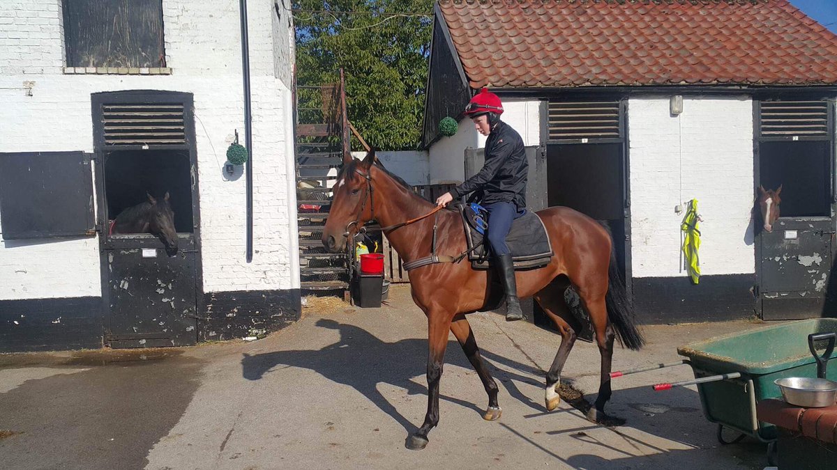 We had a few visitors from Ireland last week at the yard including <a href="/robertmeehan14/">Robert Meehan</a>