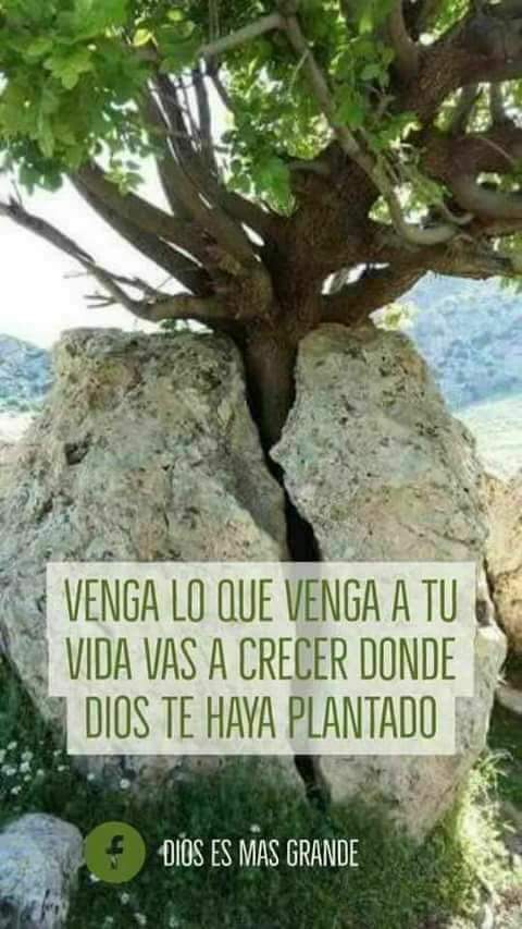 LIVES OCULTAS (+18) tweet media