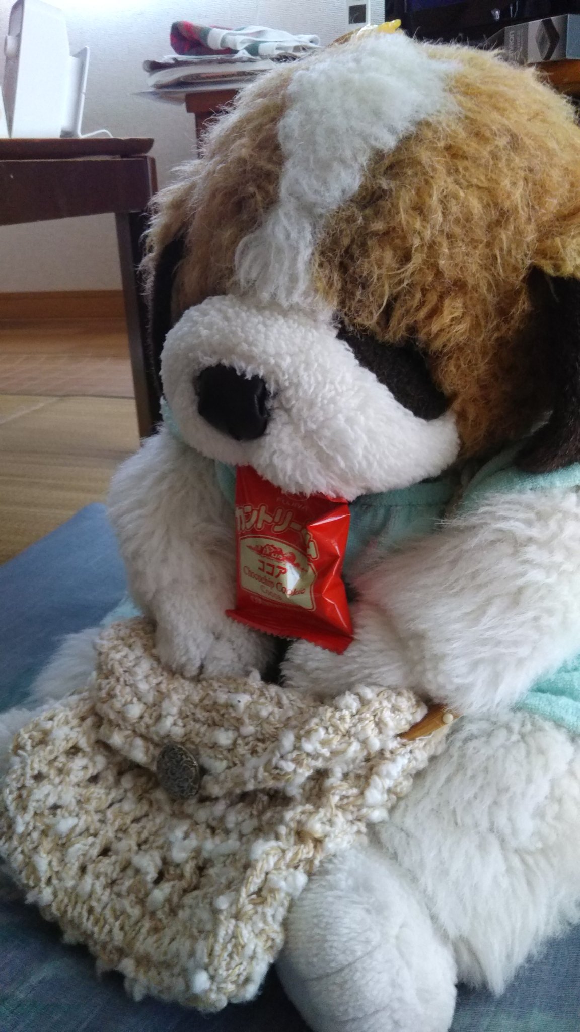 インザネスト ぬいぐるみ セントバーナード