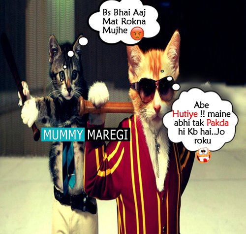 MummyMaregi's tweet photo. Billa Rock...😛😜🤪
#billa #Cat #memes #funnymemes https://t.co/5T4YEgGvXk