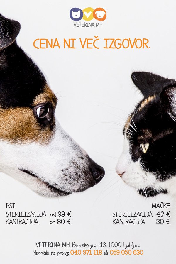 VeterinaMH's tweet photo. Cena ni več izgovor. #sterilizirajte oz. #kastrirajte svoje živali, saj je brezdomnih že tako preveč! https://t.co/RchKRM8ZRQ https://t.co/174lBIYWa0