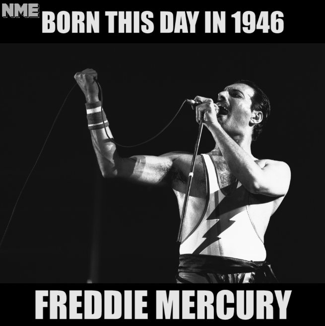 NME's tweet photo. Freddie would have turned 71 today #OnThisDay https://t.co/dQuLoLq5pV