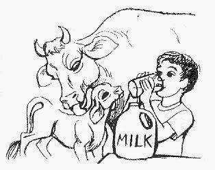 saii_manasa's tweet photo. #CowProtectionMovement
Save #Cattle
Pl. Spread the word.
Jai Sri Krishna.☆
@BJP4India https://t.co/XJT1CVJ4sO
