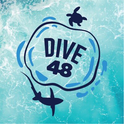 dive48Maldives's tweet photo. #NewProfilePic https://t.co/Owu0HrPrxZ