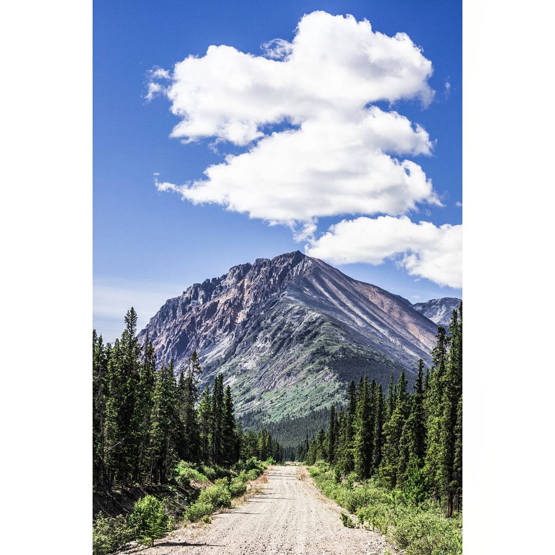 ohsojensy's tweet photo. Take me to the mountains #adventure #canada150 #pnw #explore #takemetothemountains #follow4follow #landscape #gooutside #mountains #yukon https://t.co/v7JkGb7mWE