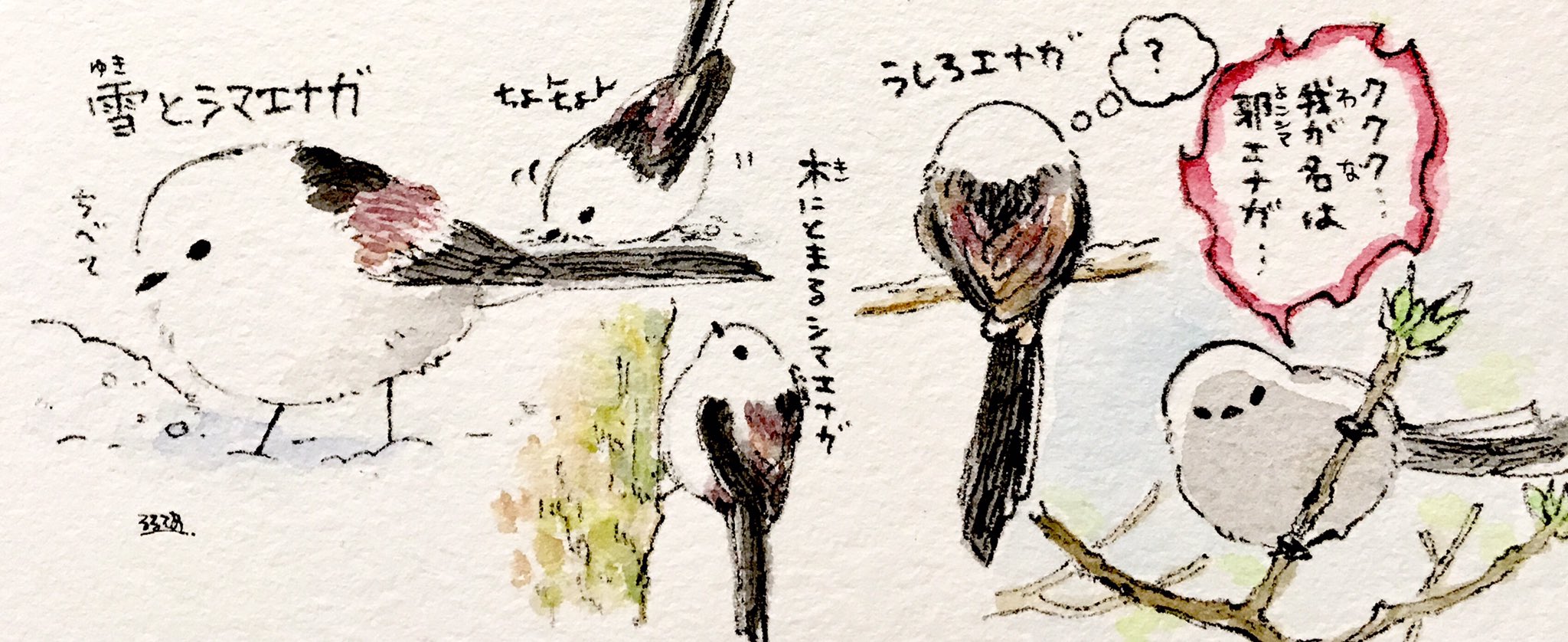 るるてあ シマエナガという鳥