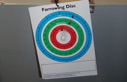 AHDB_Pork's tweet photo. Our farrowing disc is a handy on-farm tool to monitor sows' progress during farrowing #pigfarming #FocusFarm https://t.co/voWrcjhIQv https://t.co/mdRtTXRafv