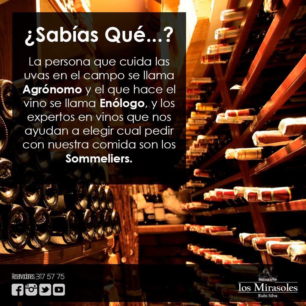 ¿Sabías Qué...? losmirasoles.com