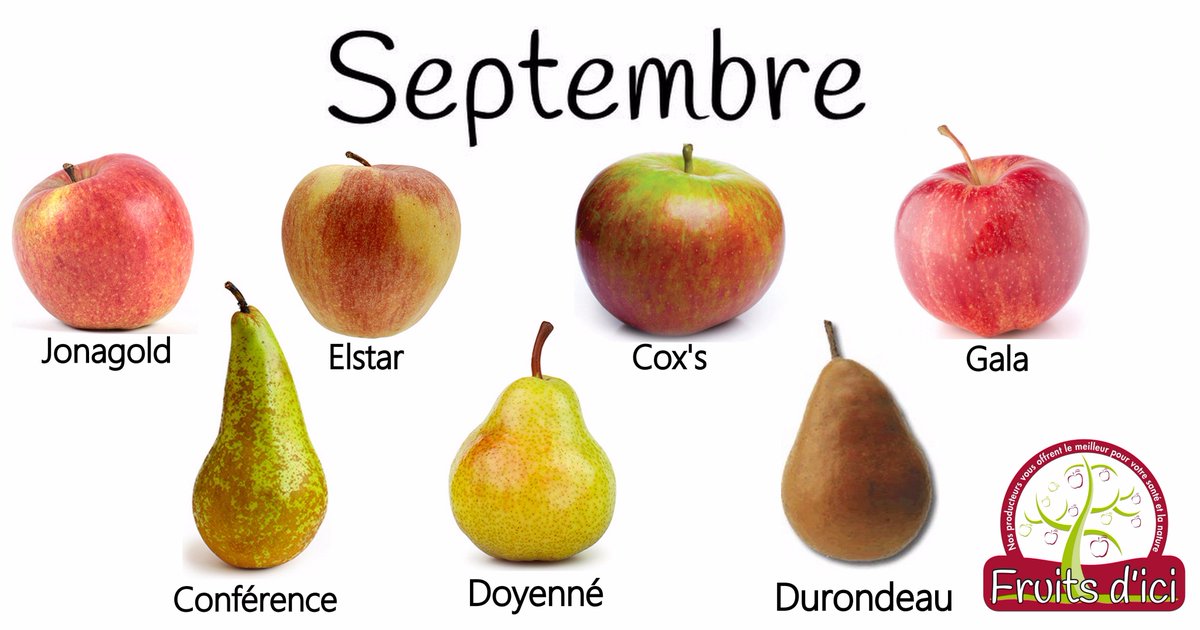 La saison des pommes et des poires recommencent. Découvrez celles à déguster en septembre ! 🍐🍎🍏 #circuitscourts #mangerlocal #wallonie