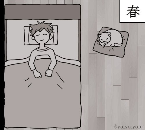 ネコで感じる四季 