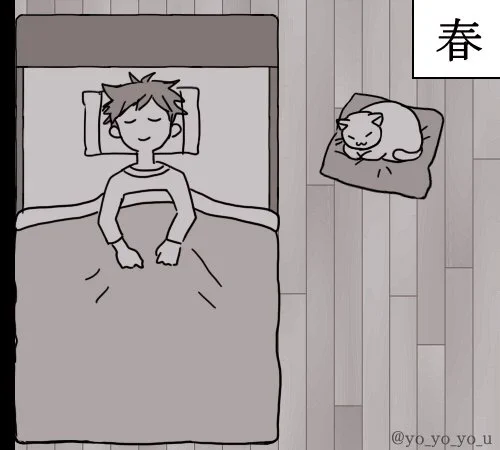 ネコで感じる四季 