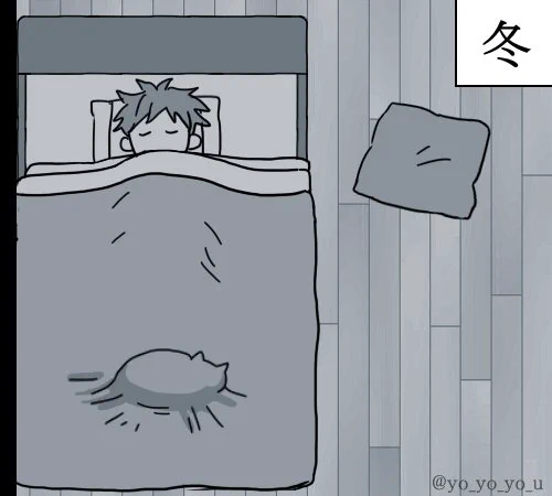 猫から感じる？四季の移り変わりがよくわかるものがこれｗｗｗ
