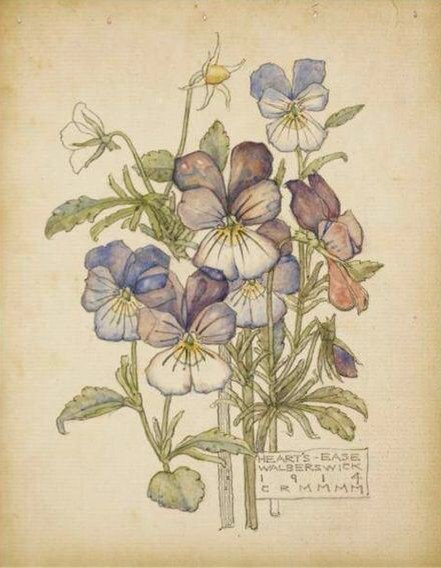 Once Upon A Time tweet media