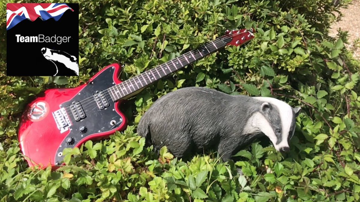 badgeraction tweet picture