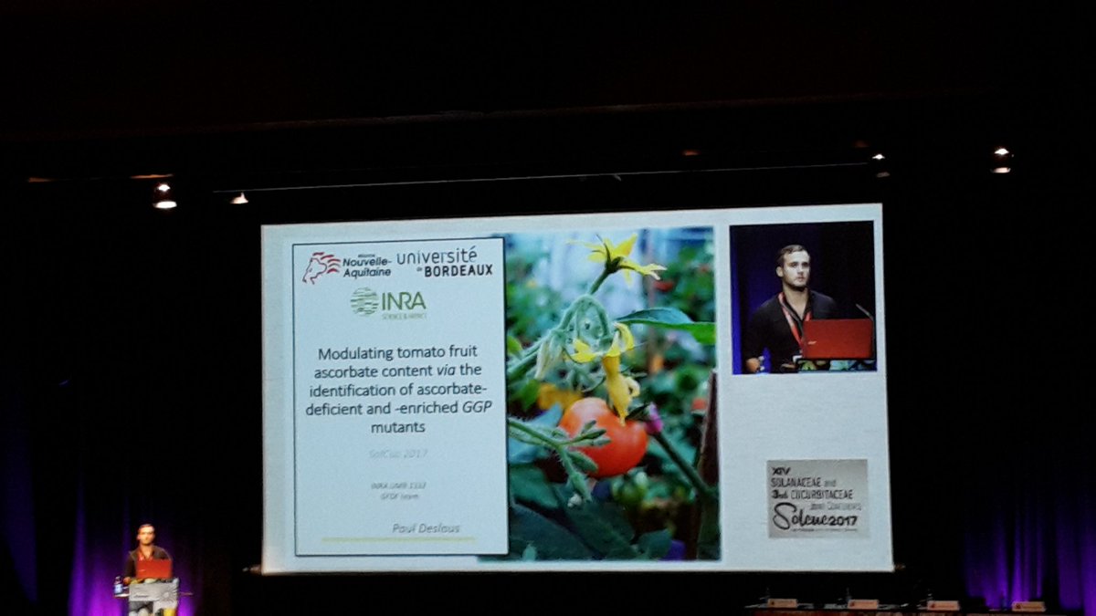nathy_go_7's tweet photo. Another talk from @Inra_BdxAqui  lab . Paul Deslous talking about ascorbate in tomato #SOLCUC2017 https://t.co/Zl6mqLlMad