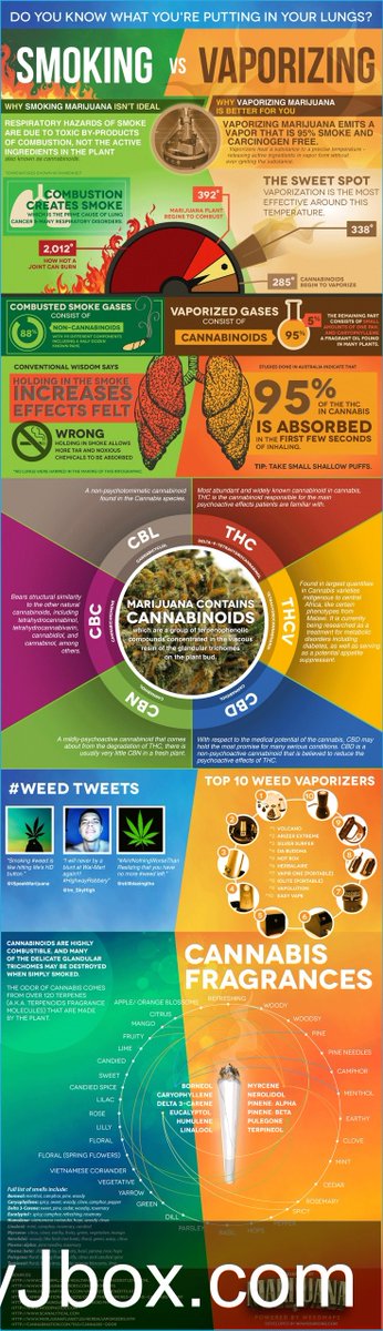 maryjbox_com's tweet photo. Marijuana – Smoking vs Vaporizing (Infographic) Like our facebook page https://t.co/rd1WRNtF8j  or  ... https://t.co/gWEI5MPmWx