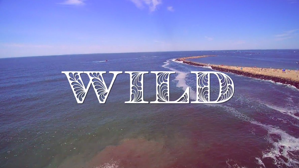 Paradoxium's tweet photo. .@becomingbry - Wild
SoundCloud: https://t.co/XS9hyD7j0N
YouTube (Music video): https://t.co/d3Y0rMEpoL
#foundom https://t.co/IlLuY8iG15