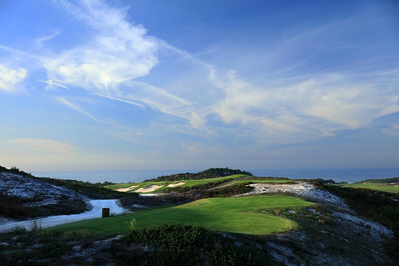 David Cannon tweet media