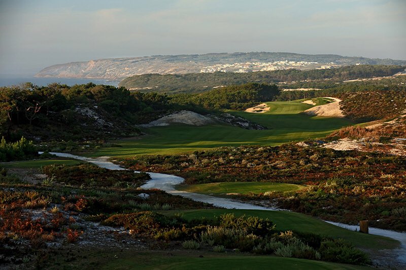 David Cannon tweet media