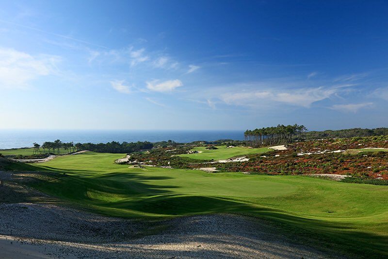 David Cannon tweet media