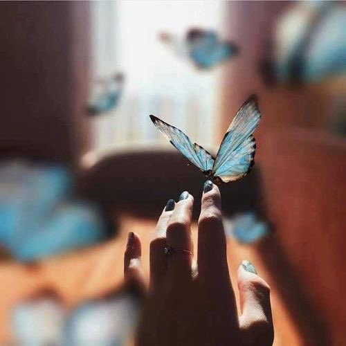 <a href="/ggdgg63/">Princess yasmine</a> ليتنا لم نلتقي 🦋•***•🦋
•••••••••🦋•***•🦋 ليتنا لم نفترق🦋سابقى احبك واعشق روحك الى الابد😀🌷
#بوح_الياسمين
#حبايبنا
#يا_من_جعلتني