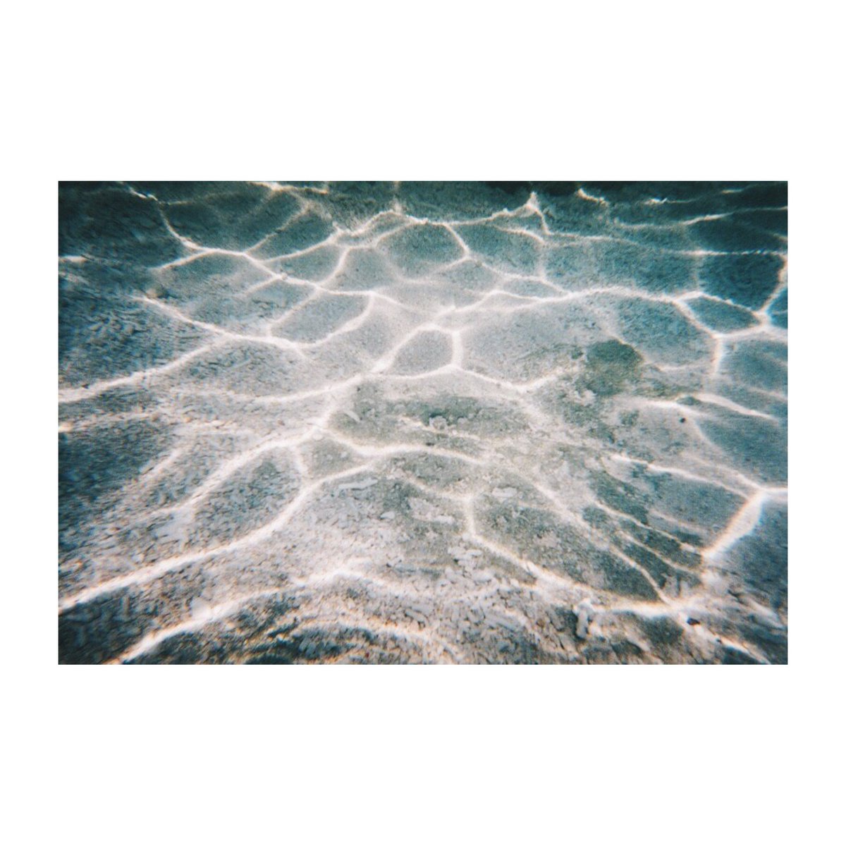 写ルンです 流行の裏で 水中で使える 写ルンです が消える これで撮った美しくてエモい水中写真集めてみました Togetter