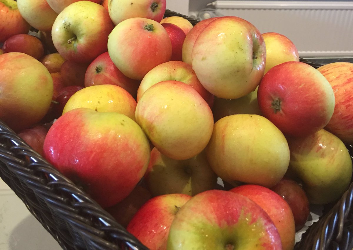 kajsab's tweet photo. Thanks @FredrikGertten! Swedish delicious apple today at #theconf https://t.co/rbhnBlXl5d