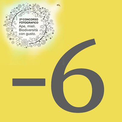 C'è tempo fino all'11/09 per partecipare al concorso fotografico Ape, mieli. Biodiversità con gusto #icolorideimieli bit.ly/2wDGlfc