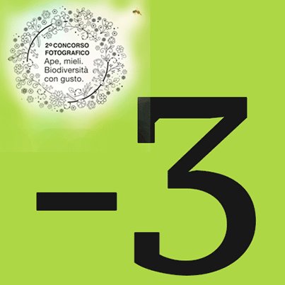 Ape, mieli, biodiversità: ancora pochi giorni per inviare le tue foto e partecipare al concorso #icolorideimieli bit.ly/2wDGlfc