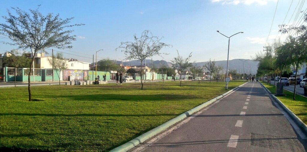 Disfruta de un paseo mañanero en #LíneaVerde una caminata, un paseo en bicicleta o hacer ejercicio. Hay mucho por disfrutar ¡te esperamos!