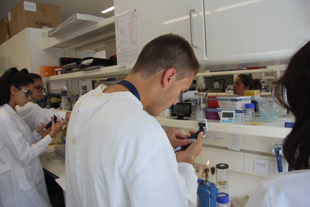 i3S_UPorto's tweet photo. Last week of Summer training for young research interns at i3S, in the scope of #ECVS2017, before school begins.
#i3Sedu #JuniorResearch https://t.co/Ay2v3l2wCA