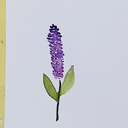 Rodmas Creations My First Watercolor Flower Watercoloring Watercolor 水彩画 水彩 透明水彩 Drawing 水彩初心者 Lavender T Co L5yujnnhmm T Co Jx76mpzida