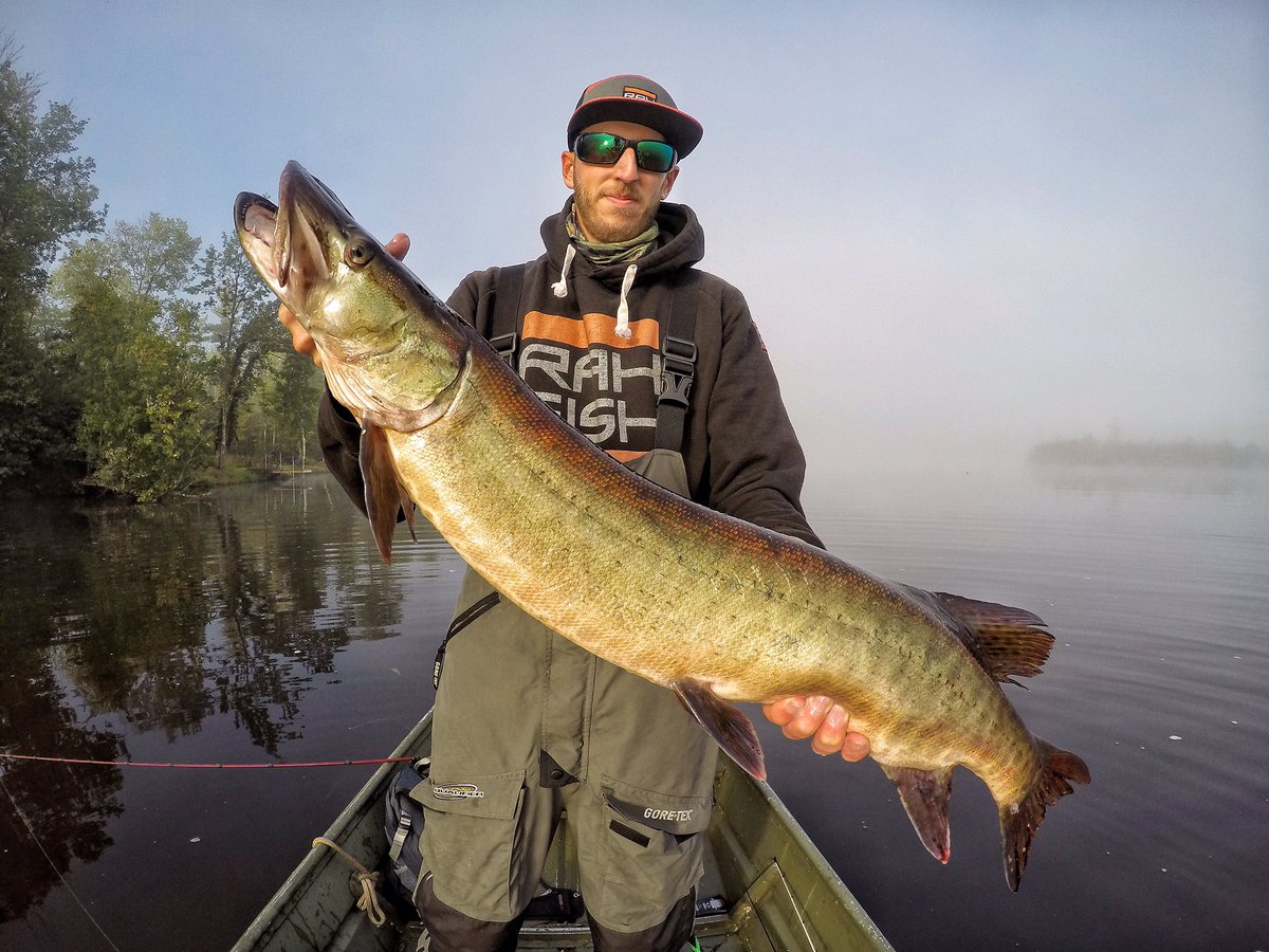 KMCFishing's tweet photo. Caught my first muskie over the weekend! 🤘🏼@rah_fish @CostaSunglasses @hoo_rag @Abu_Garcia #fishing #muskie https://t.co/nptofmdtrU