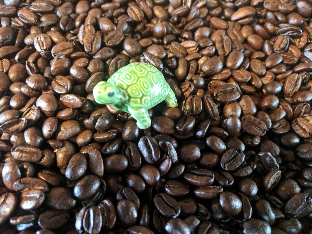 Ellyot_Shayne's tweet image. Always working. But I have coffee. #thetword #kayacoffeehouse #coffeelife #barista #ftm #transguy