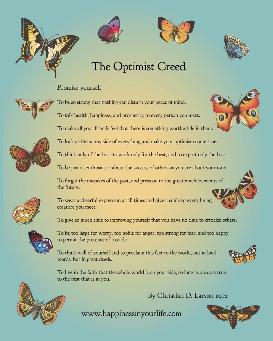 aimmersmurph's tweet photo. #TheJoyPlan #Optimistintraining https://t.co/gmyWCdS1v8