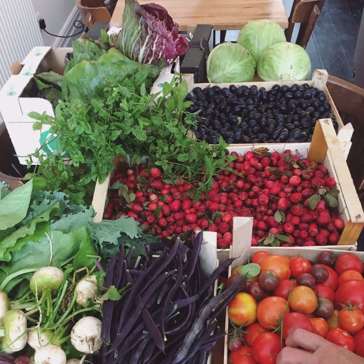 MaryWilson1789's tweet photo. @JanWilsons from the garden #Bristol #food #latesummer #beans #tomatoes https://t.co/Q7l9f5oveA